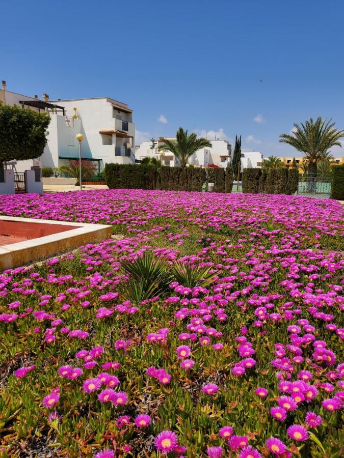 Apartamento Naturista En Primera Linea De Vera Playa!!! Las Bombardas Екстериор снимка